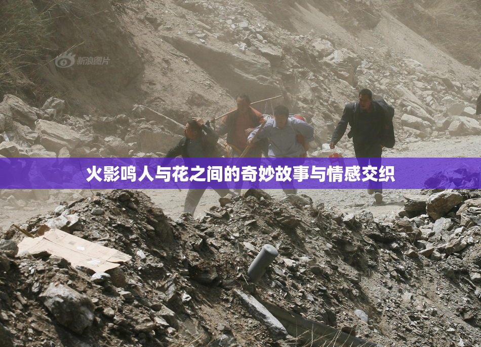 火影鸣人与花之间的奇妙故事与情感交织