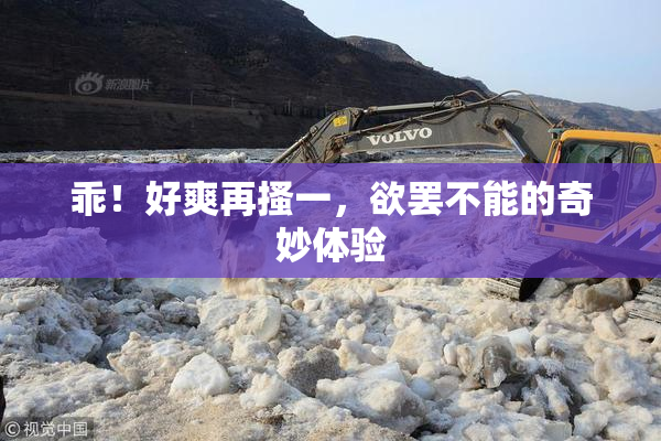 乖！好爽再搔一，欲罢不能的奇妙体验
