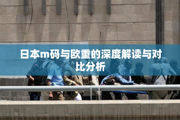 日本m码与欧重的深度解读与对比分析
