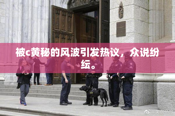 被c黄秘的风波引发热议，众说纷纭。