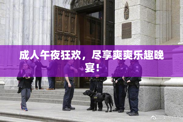 成人午夜狂欢，尽享爽爽乐趣晚宴！