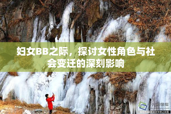 妇女BB之际，探讨女性角色与社会变迁的深刻影响