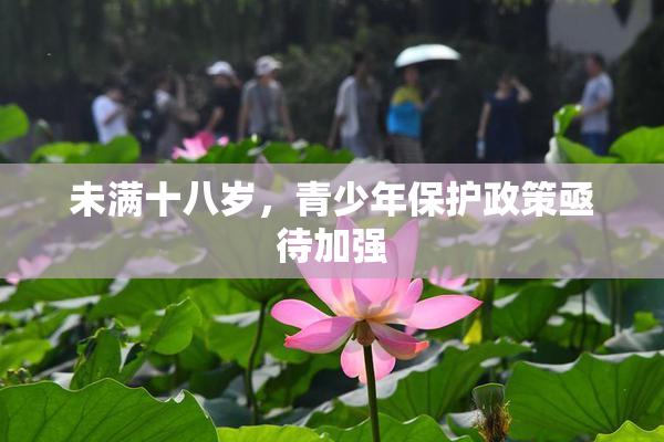 未满十八岁，青少年保护政策亟待加强