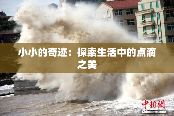 小小的奇迹：探索生活中的点滴之美