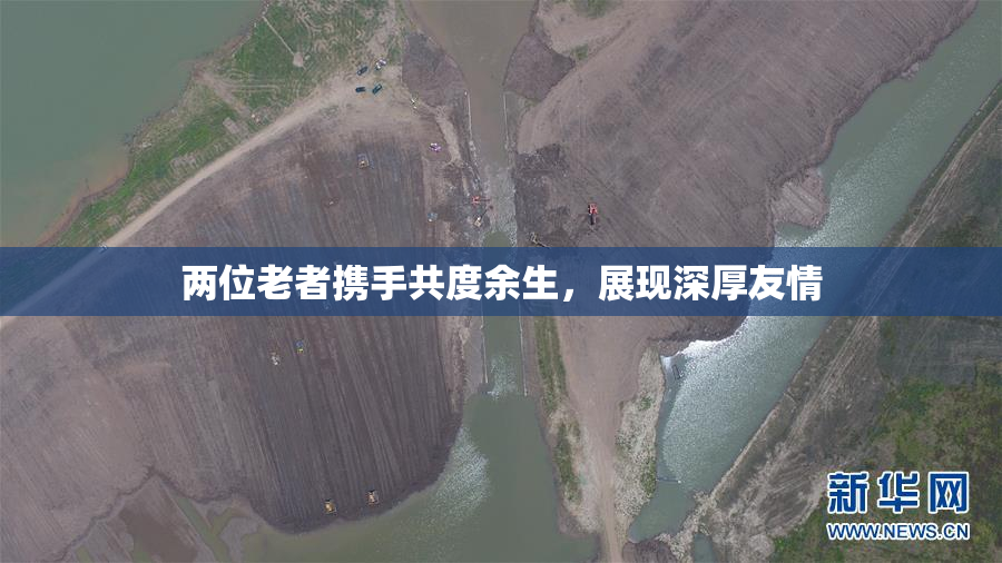 两位老者携手共度余生，展现深厚友情