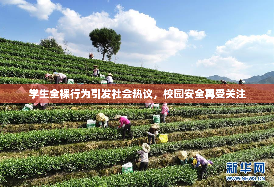 学生全裸行为引发社会热议，校园安全再受关注