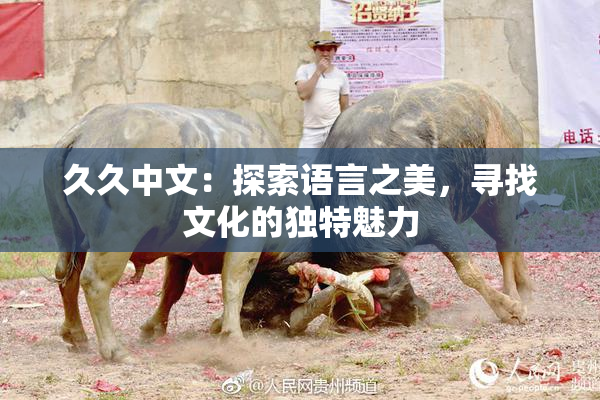 久久中文：探索语言之美，寻找文化的独特魅力
