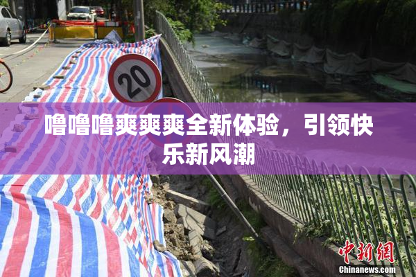 噜噜噜爽爽爽全新体验，引领快乐新风潮