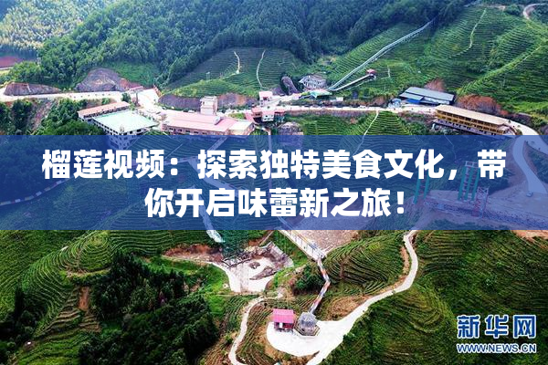 榴莲视频：探索独特美食文化，带你开启味蕾新之旅！