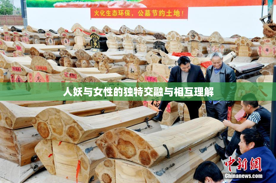 人妖与女性的独特交融与相互理解
