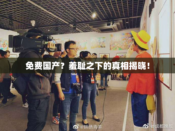 免费国产？羞耻之下的真相揭晓！