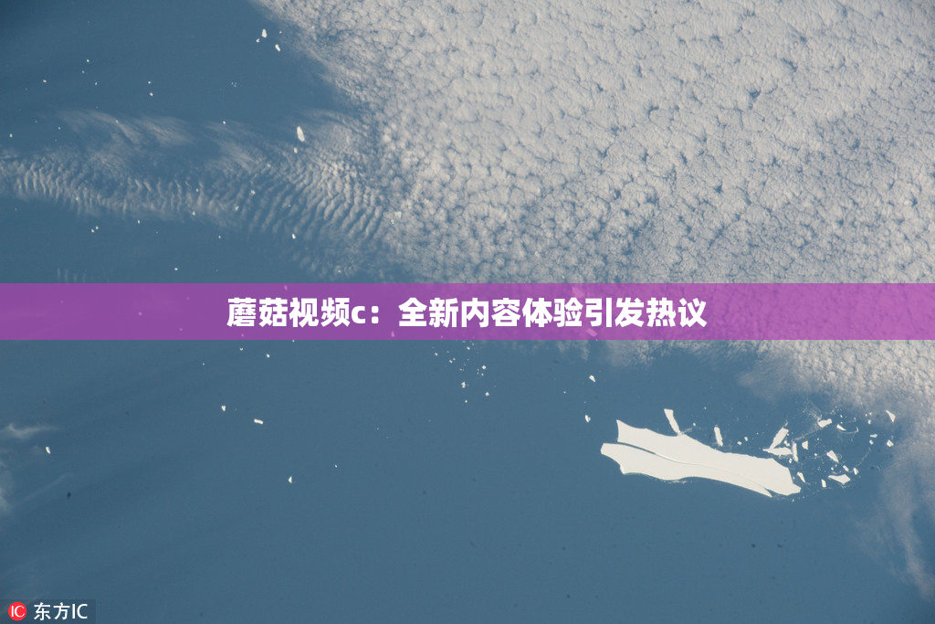 蘑菇视频c：全新内容体验引发热议