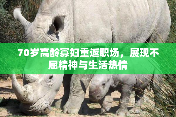 70岁高龄寡妇重返职场，展现不屈精神与生活热情