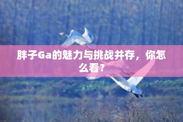 胖子Ga的魅力与挑战并存，你怎么看？
