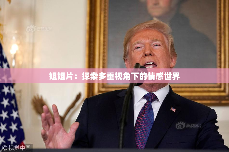 姐姐片：探索多重视角下的情感世界
