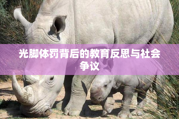光脚体罚背后的教育反思与社会争议