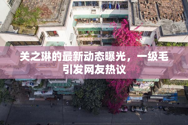 关之琳的最新动态曝光，一级毛引发网友热议
