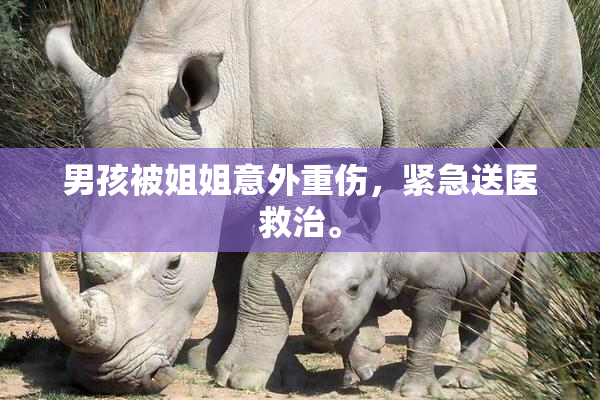 男孩被姐姐意外重伤，紧急送医救治。