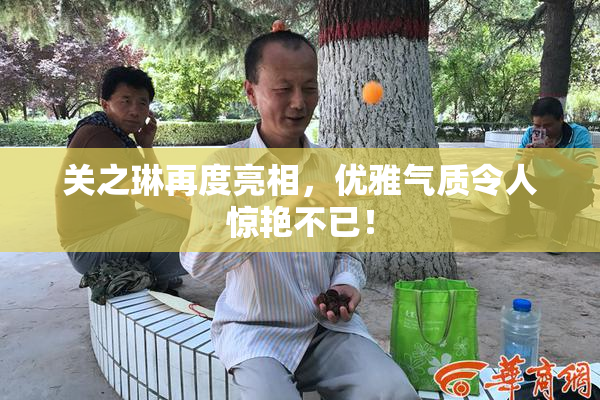 关之琳再度亮相，优雅气质令人惊艳不已！