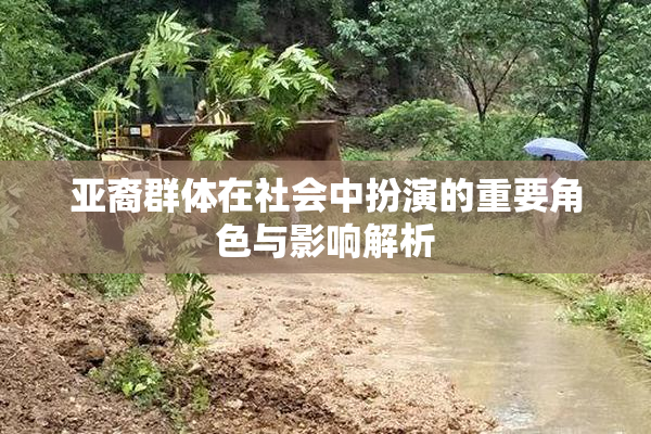 亚裔群体在社会中扮演的重要角色与影响解析