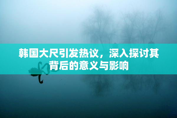 韩国大尺引发热议，深入探讨其背后的意义与影响
