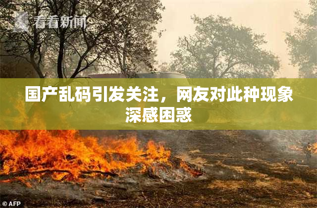 国产乱码引发关注，网友对此种现象深感困惑