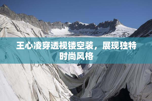 王心凌穿透视镂空装，展现独特时尚风格