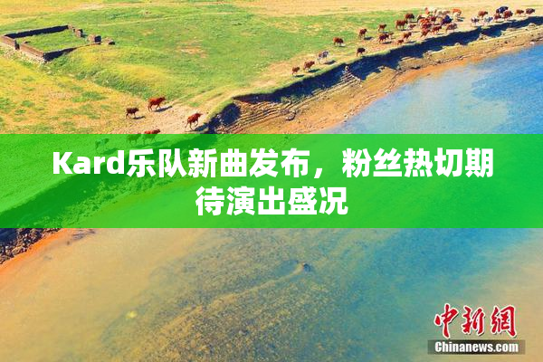 Kard乐队新曲发布，粉丝热切期待演出盛况