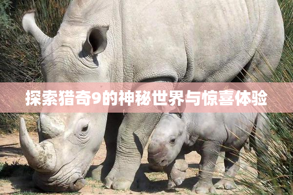 探索猎奇9的神秘世界与惊喜体验