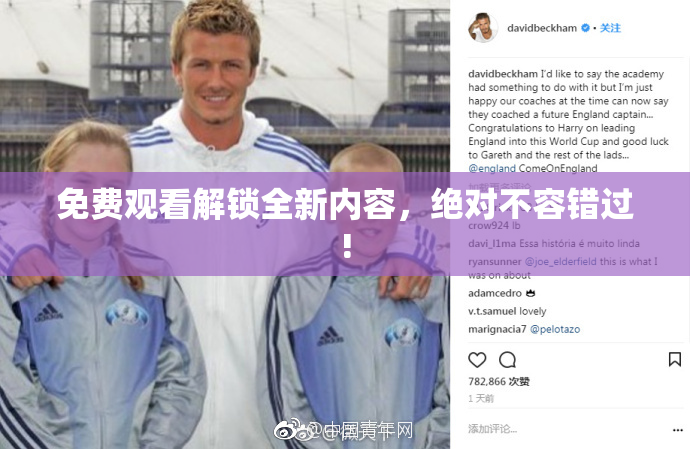 免费观看解锁全新内容，绝对不容错过!