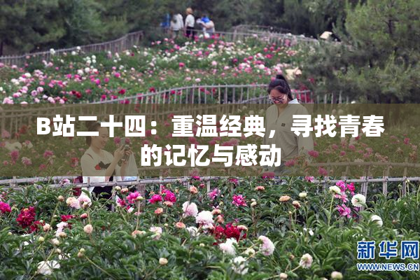 B站二十四：重温经典，寻找青春的记忆与感动