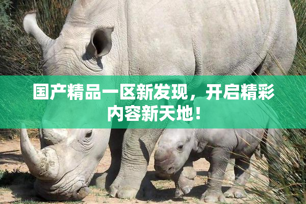 国产精品一区新发现，开启精彩内容新天地！