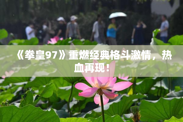 《拳皇97》重燃经典格斗激情，热血再现！