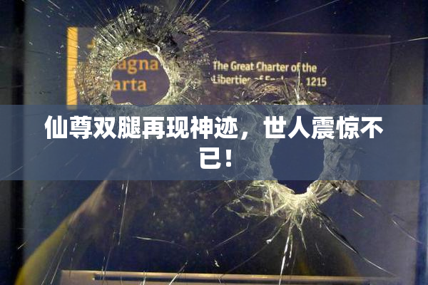 仙尊双腿再现神迹，世人震惊不已！