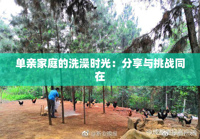 单亲家庭的洗澡时光：分享与挑战同在