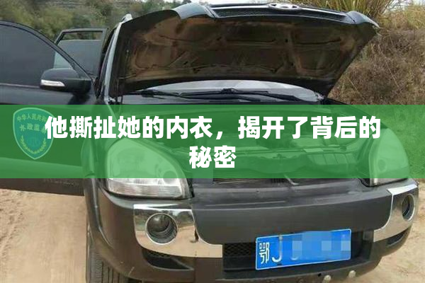 他撕扯她的内衣，揭开了背后的秘密