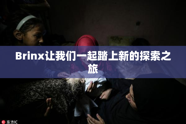 Brinx让我们一起踏上新的探索之旅