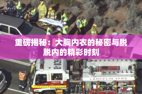 重磅揭秘：大胸内衣的秘密与脱脱内的精彩时刻