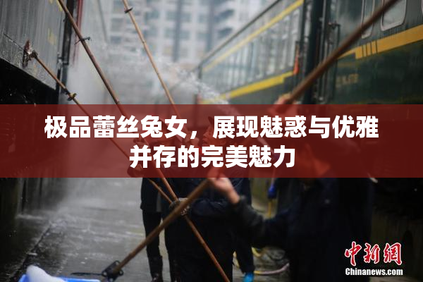 极品蕾丝兔女，展现魅惑与优雅并存的完美魅力