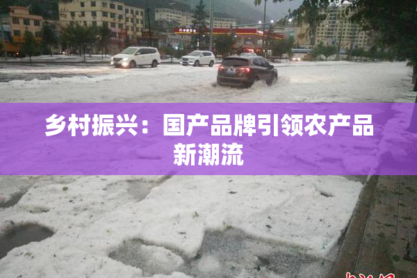 乡村振兴：国产品牌引领农产品新潮流