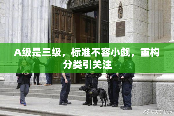 A级是三级，标准不容小觑，重构分类引关注