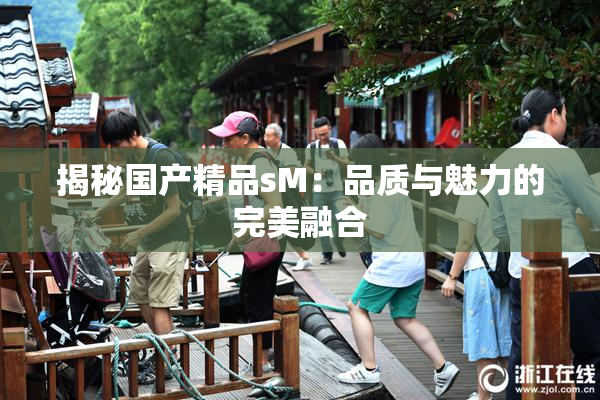 揭秘国产精品sM：品质与魅力的完美融合