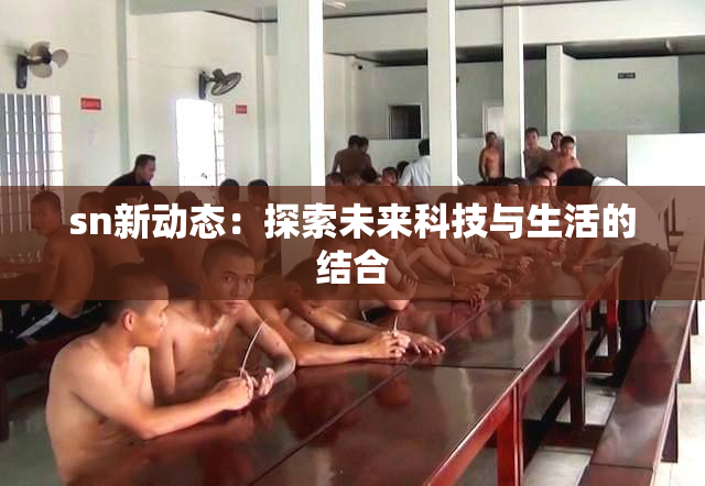 sn新动态：探索未来科技与生活的结合