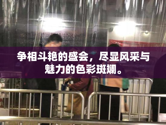 争相斗艳的盛会，尽显风采与魅力的色彩斑斓。