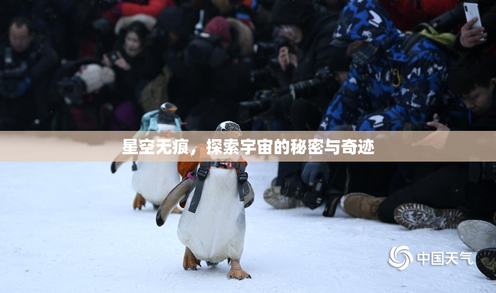 星空无痕，探索宇宙的秘密与奇迹
