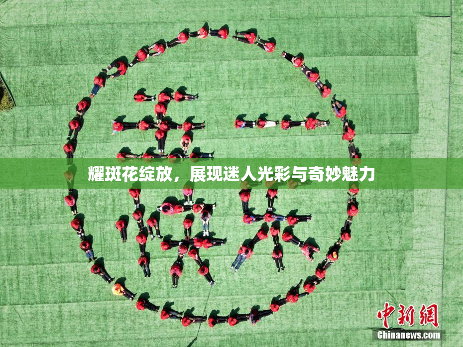 耀斑花绽放，展现迷人光彩与奇妙魅力