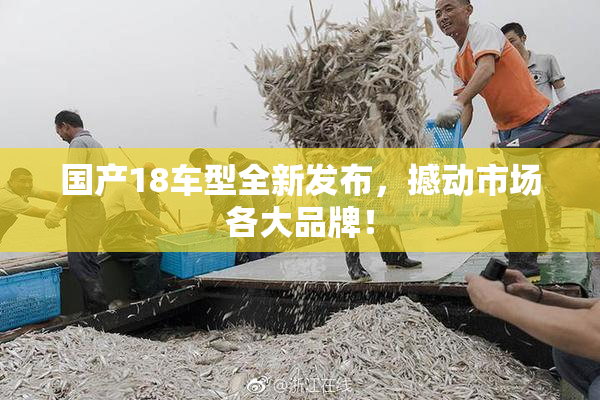 国产18车型全新发布，撼动市场各大品牌！