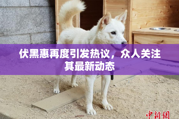 伏黑惠再度引发热议，众人关注其最新动态