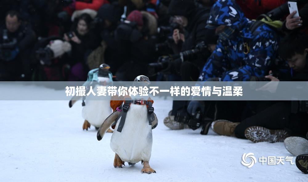 初撮人妻带你体验不一样的爱情与温柔