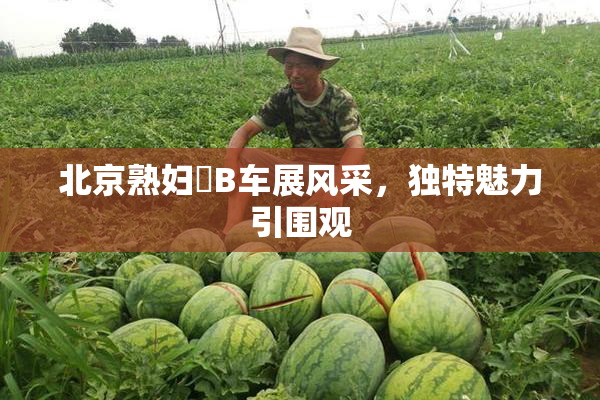 北京熟妇槡B车展风采，独特魅力引围观